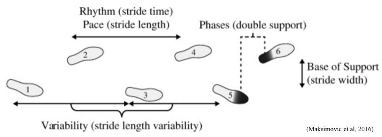 Spatiotemporal Gait Parameters